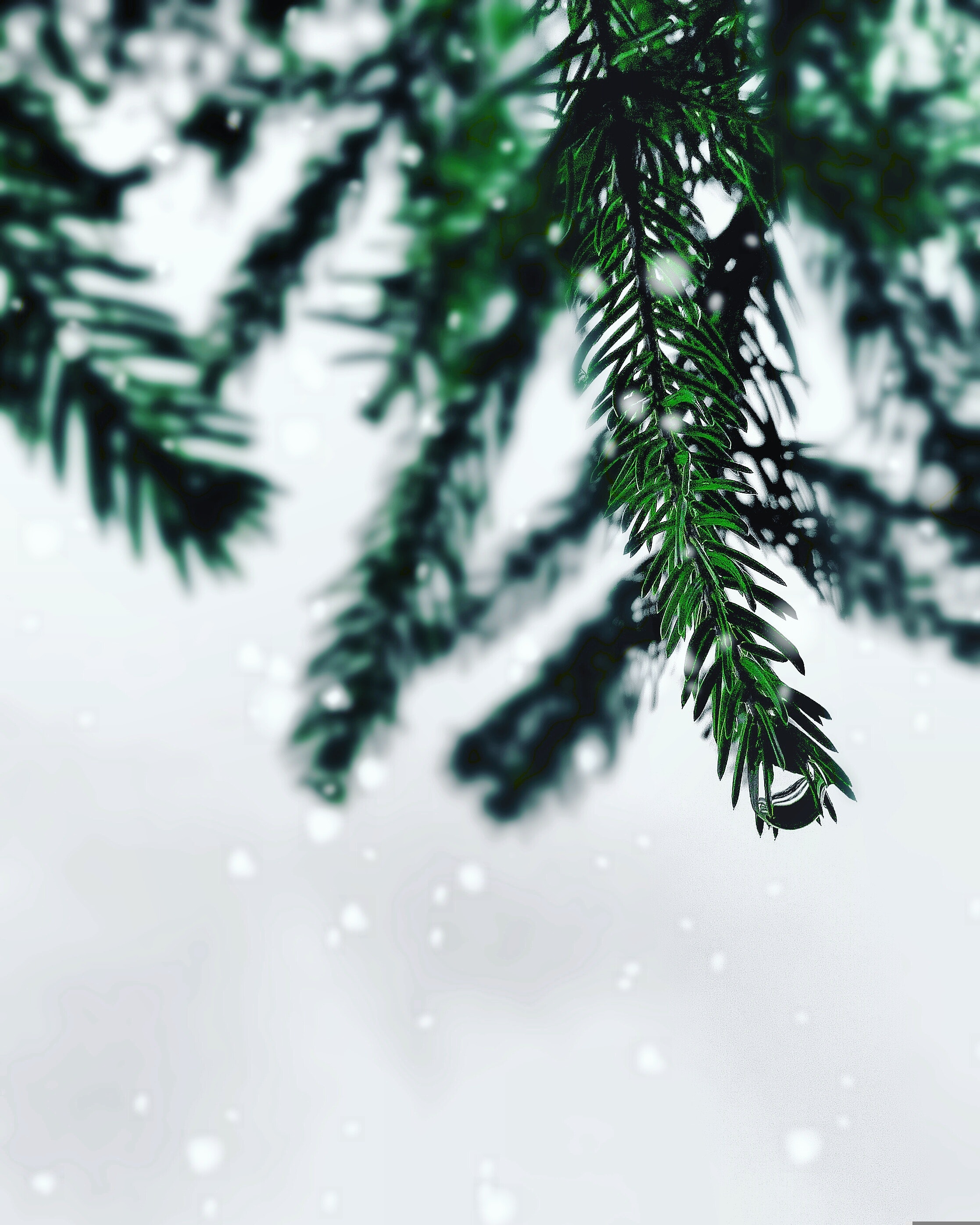 Waiting on the Promise: Christmas Spirit