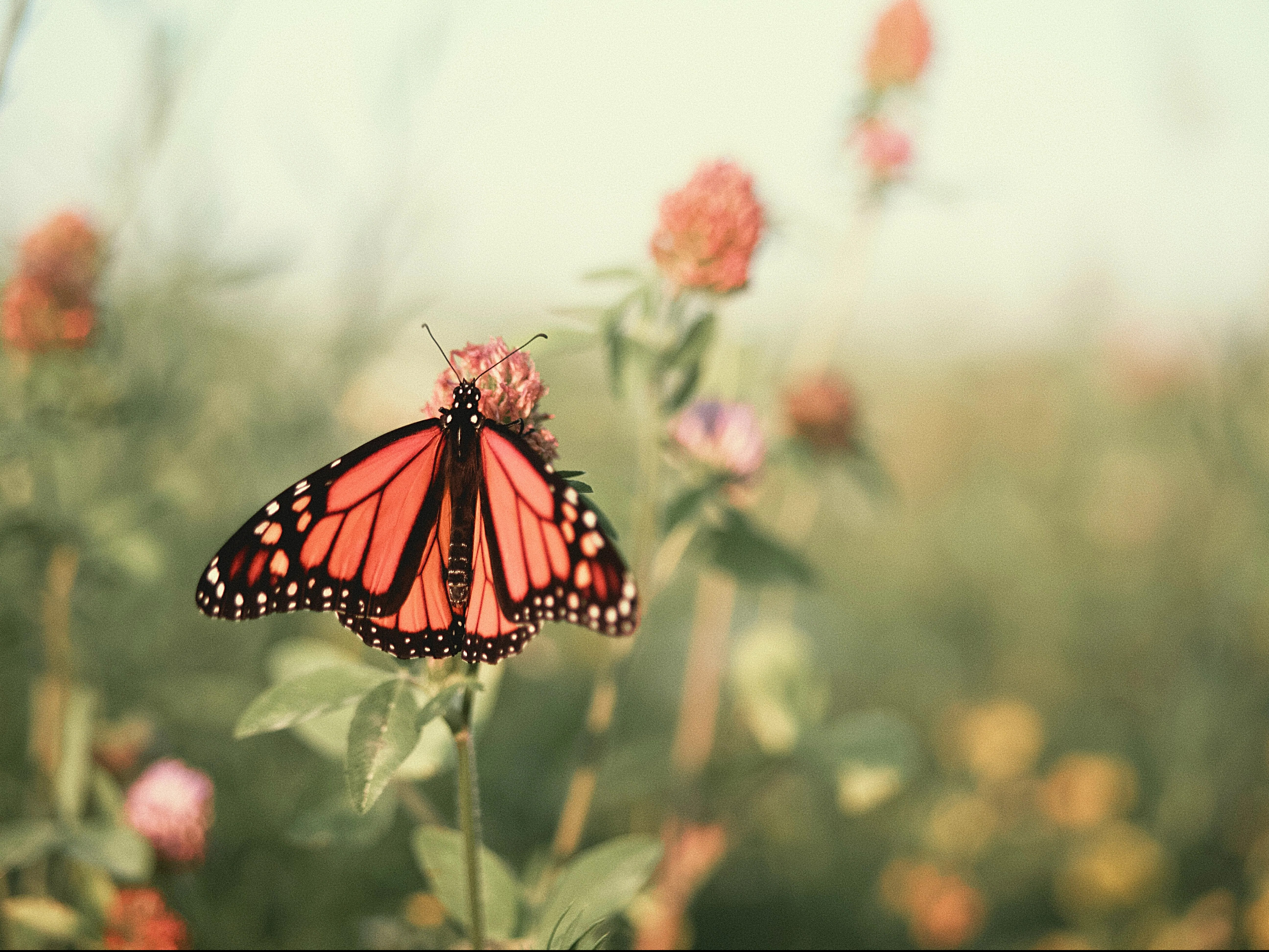 Servant Lifestyle – God’s Employment Plan